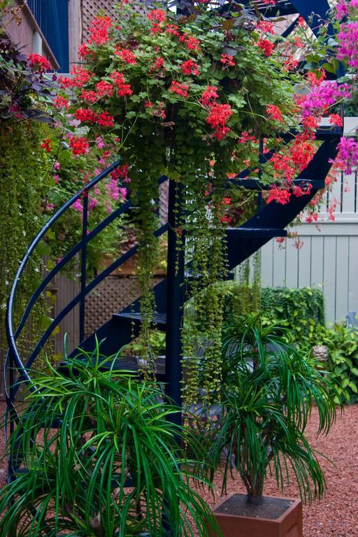 Le Cartier Bed And Breakfast 몬트리올 외부 사진